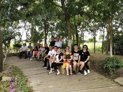 -东平国家森林公园