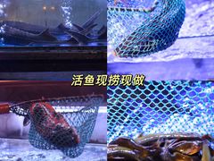 -亮欢寨酸汤鱼(沙冲路店)
