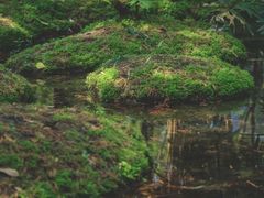 -成都市活水公园