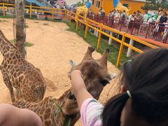 -西霞口神雕山野生动物世界