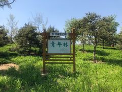 -东郊湿地公园