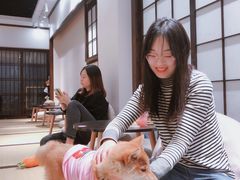 -逗柴咖啡屋·狗咖猫咖宠物桌游
