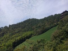 -敬亭山风景名胜区