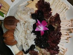 -南门四季铜锅涮肉(大屯·北苑店)