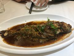 -金春禧(世茂国际广场店)