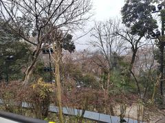 -龟山风景区-龟山电视塔
