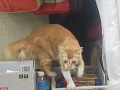 -凤城康记饭店