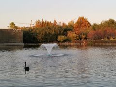 -春晖园度假酒店温泉