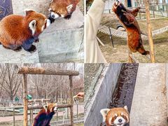 -水上乐园·欢乐世界