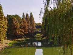 -尚贤河湿地