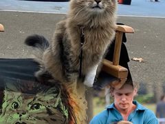 -中影国际影城(西溪印象城CINITYLED店)