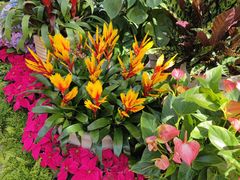 -北京植物园-展览温室