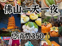 -華叔茶記