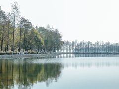 -东湖听涛景区