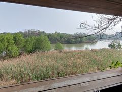-华侨城湿地公园