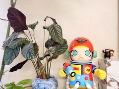 -馥郁咖啡培训(宝安校区)