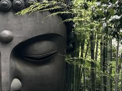 -杭州植物园