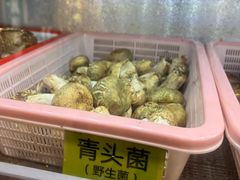 -菌海森林·非遗野生菌火锅(西山区滇池路摩根道店)