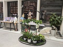 -朵云书院(滴水湖店)