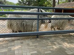 -长白岛森林公园