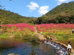 -广州市石门国家森林公园