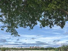 -两河城市森林公园