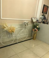 -Bollins波林丝•专研护发中心