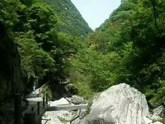 -黑河国家森林公园