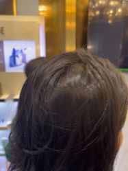 -YESIDO椰岛造型