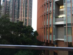-香港大学