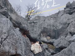 -千岛湖石林