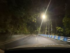 -南山植物园