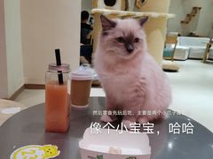 -藏猫猫咖啡主题馆(中央大道店)