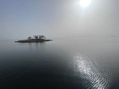 -微山湖红荷湿地景区
