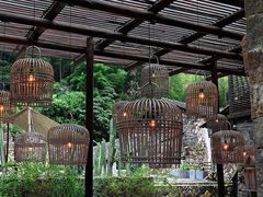 -MOJ coffee(瓯海泽雅水碓坑店)