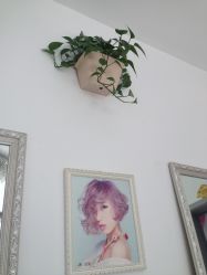 -艺时·漂发·染发·蛋白护理店