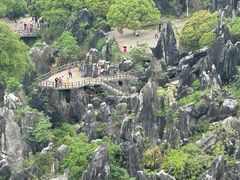 -玉石林风景区