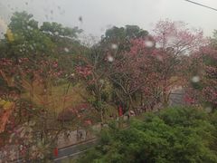 -白云山索道-售票处