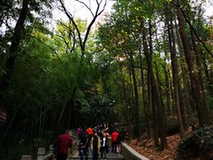 -灵岩山风景区