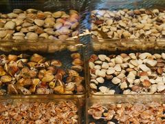 -顺风山庄(水濂山店)