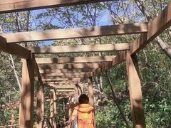-大岭沟猕猴桃谷风景区