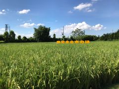 -迪茵湖田家舍生态农场