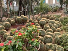 -石家庄市植物园
