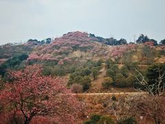 -宁波溪口古镇-民国大杂院