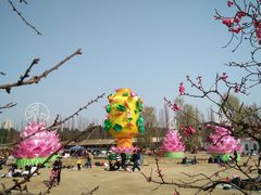 -秀丽东方