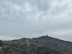 -黄贤森林公园