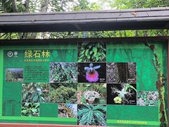 -中国科学院西双版纳热带植物园