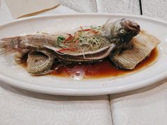-潍坊菜馆(三里河南横街店)