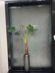 -奥斯芬·欧系贵族SPA