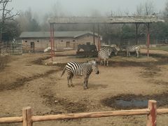 -西安秦岭野生动物园